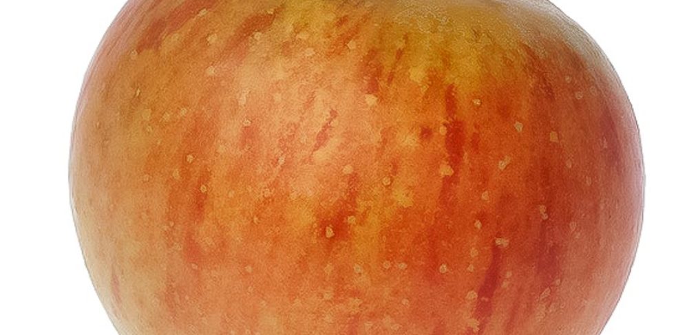 Äpfel frisch vom Bauernhof Steegmaier aus der Region Ludwigsburg, Kornwestheim, Stuttgart