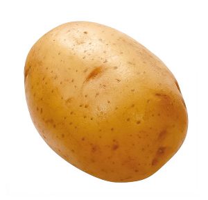 Kartoffeln frisch vom Bauernhof Steegmaier aus der Region Ludwigsburg, Kornwestheim, Stuttgart