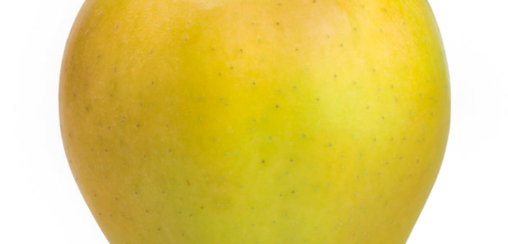 Äpfel frisch vom Bauernhof Steegmaier aus der Region Ludwigsburg, Kornwestheim, Stuttgart